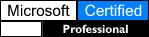 MS Pro Logo